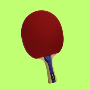 DHS Raquette 5002 FL